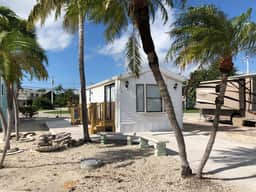 YVO009
