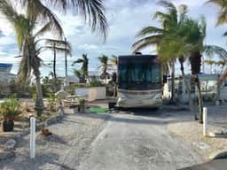 YRV630