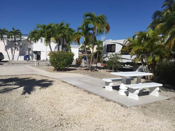 RV201