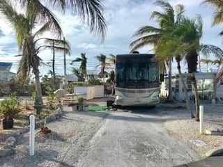 YRV630