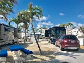RV299